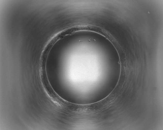 X0000065230728200602211144