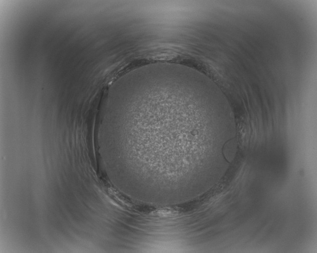 X0000065230745200602211144
