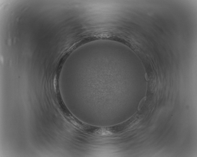 X0000065230747200602211145