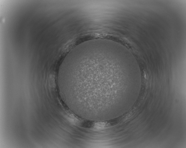 X0000065230757200602211145