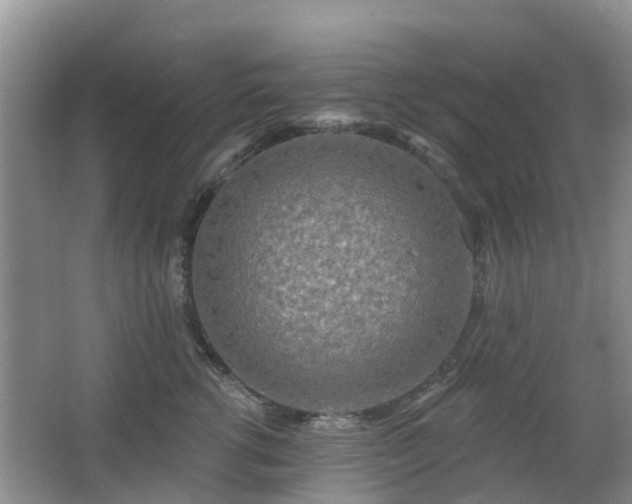 X0000065230762200602211145