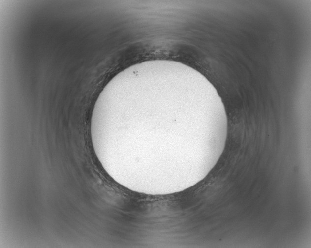 X0000065230769200602211144