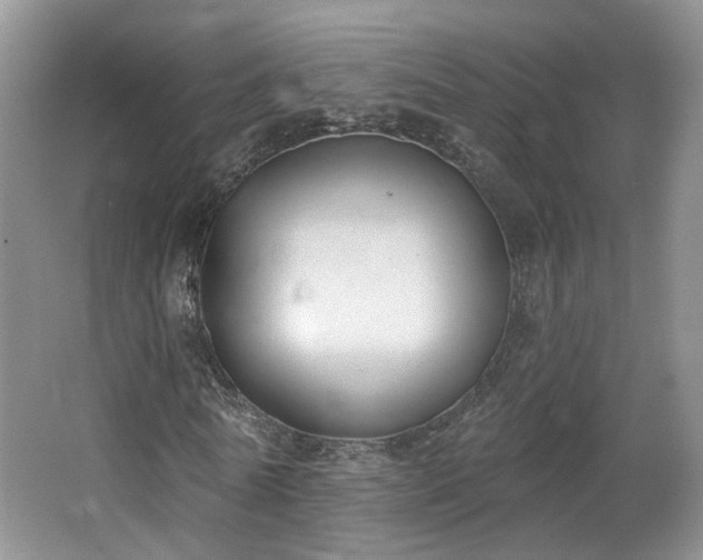 X0000065230770200602211144