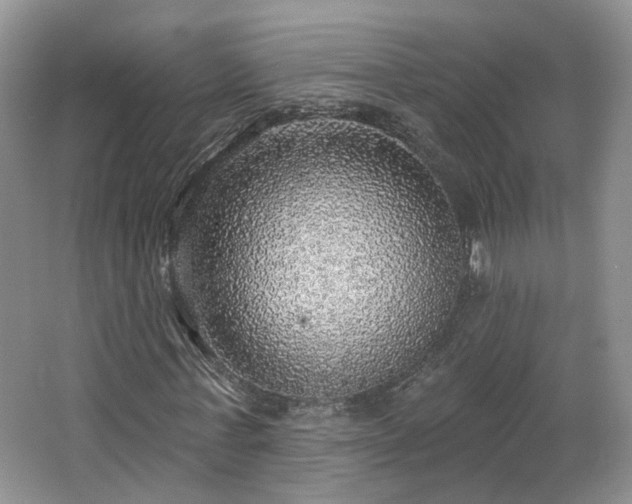 X0000065230771200602211144
