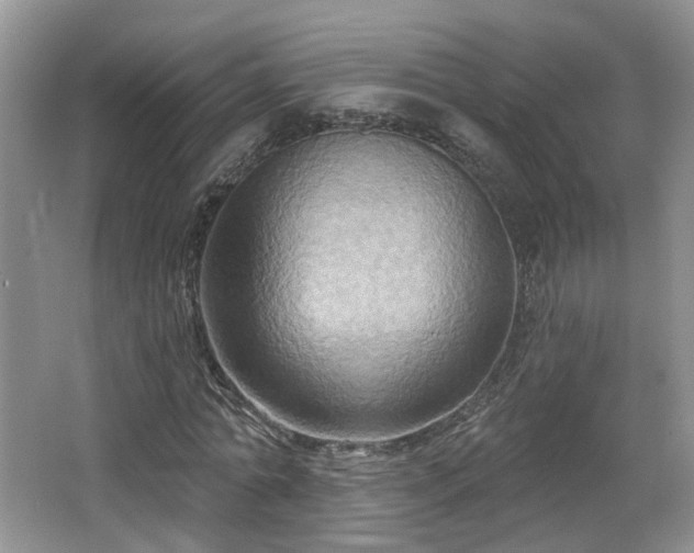 X0000065230774200602211144