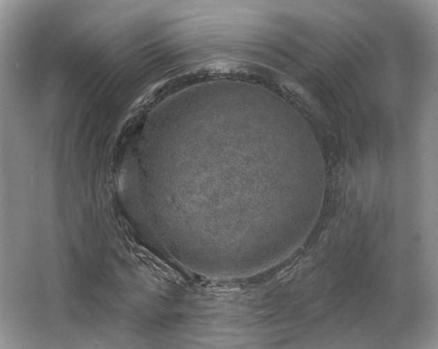 X0000065230776200602211144