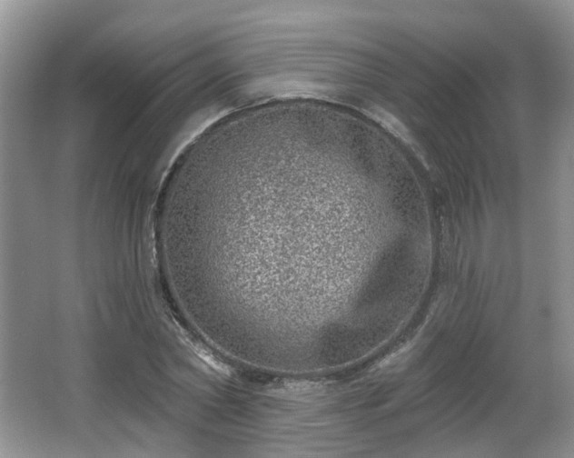 X0000065230782200602211144