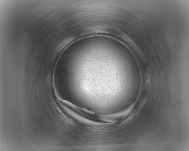X0000065230785200602211144