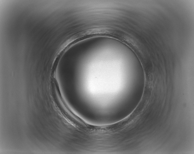 X0000065230786200602211144