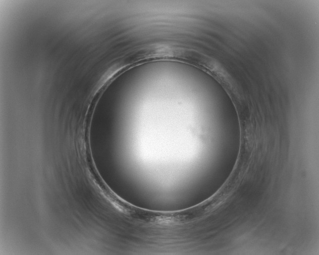 X0000065230794200602211144