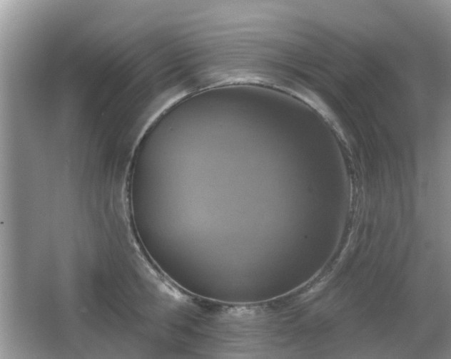 X0000065230806200602211143