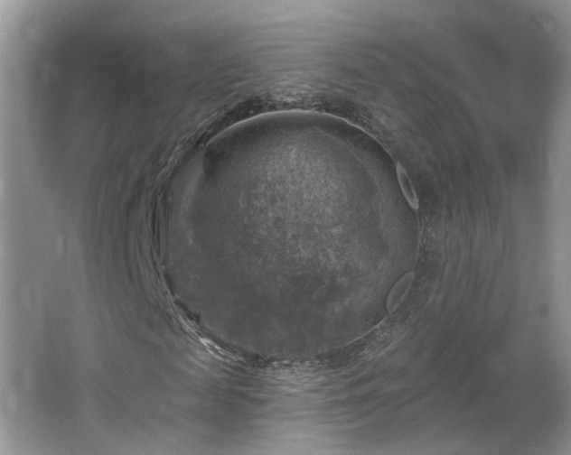 X0000065230817200602211142