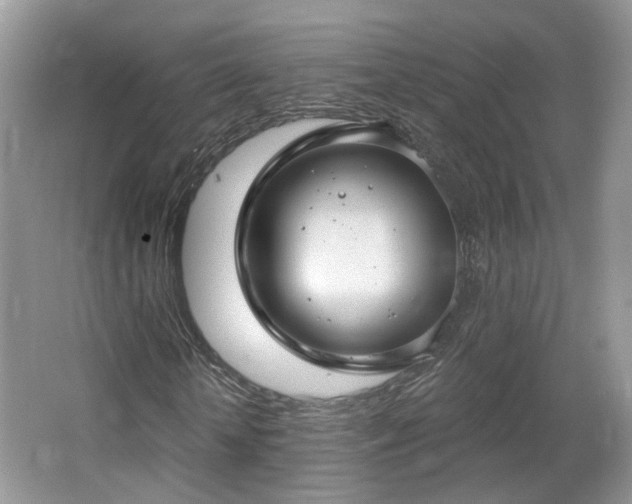 X0000065230818200602211142