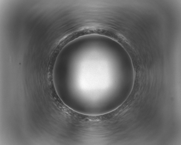 X0000065230822200602211142