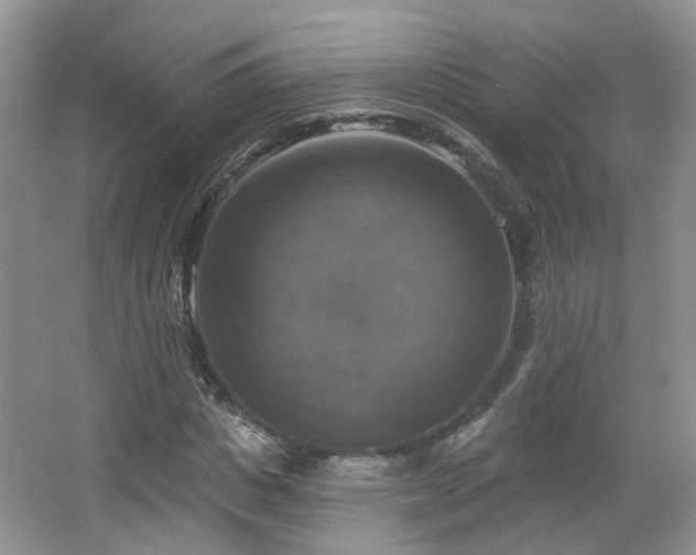 X0000065230825200602211142