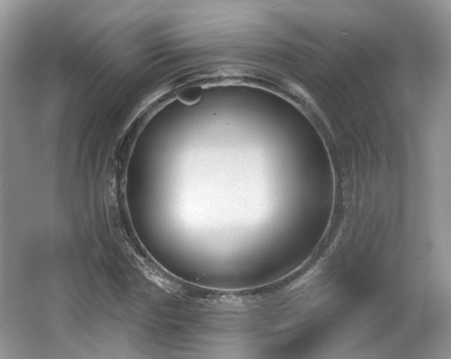 X0000065230827200602211142