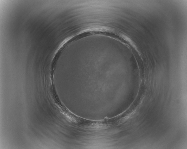 X0000065230829200602211143