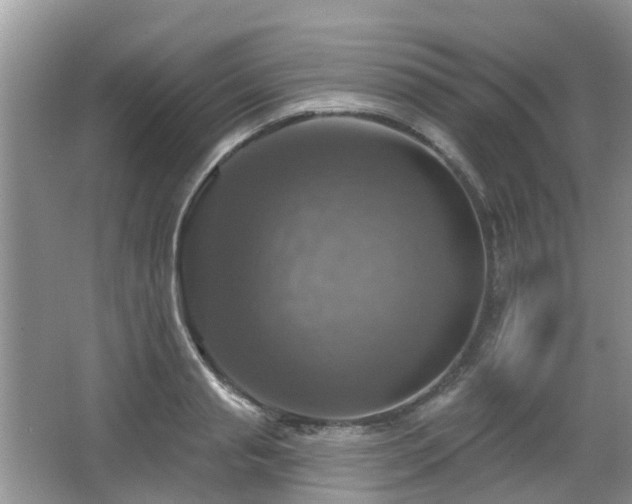X0000065230845200602211143