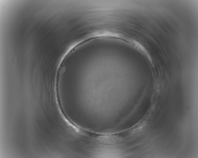 X0000065230863200602211143
