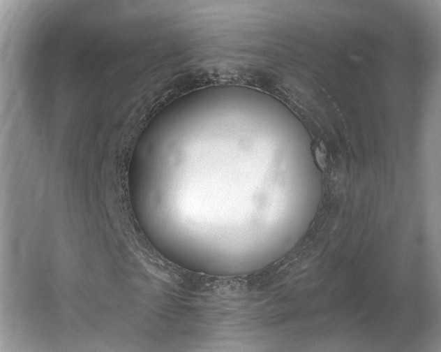 X0000065230865200602211142