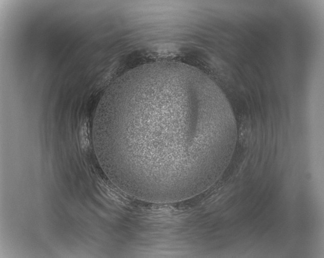 X0000065230866200602211142