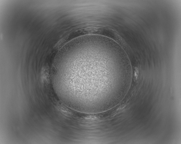 X0000065230867200602211142
