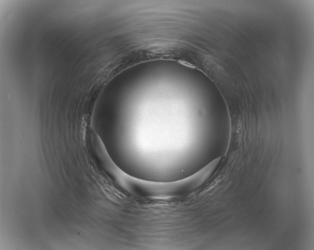 X0000065230868200602211142