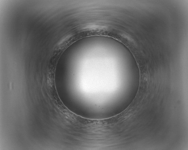 X0000065230869200602211142