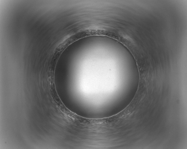 X0000065230870200602211142