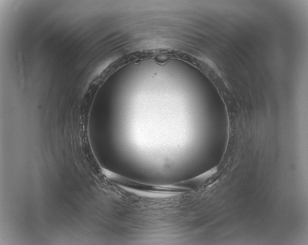 X0000065230871200602211142