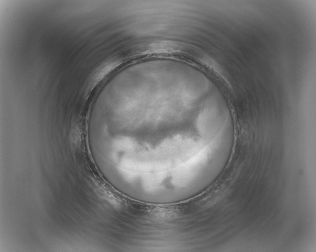 X0000065230874200602211142