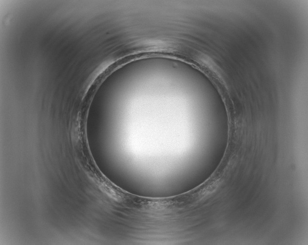 X0000065230875200602211142