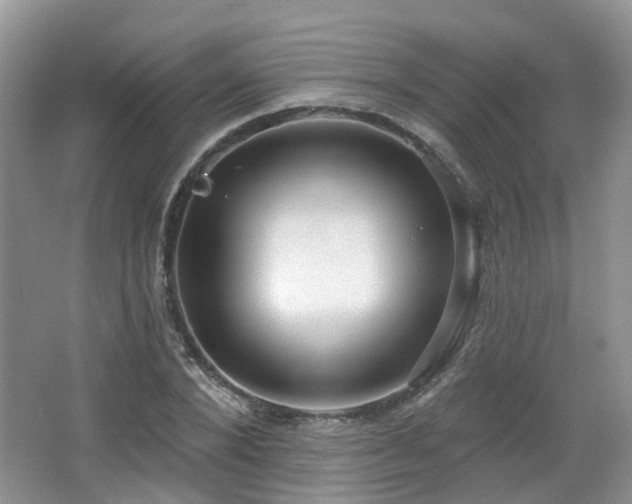 X0000065230880200602211142