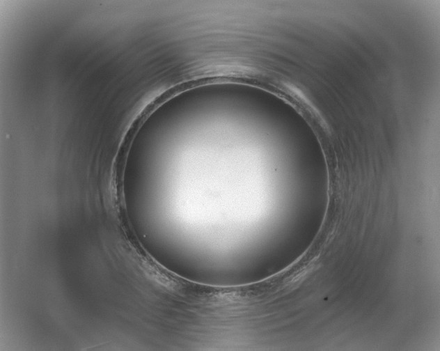 X0000065230883200602211142