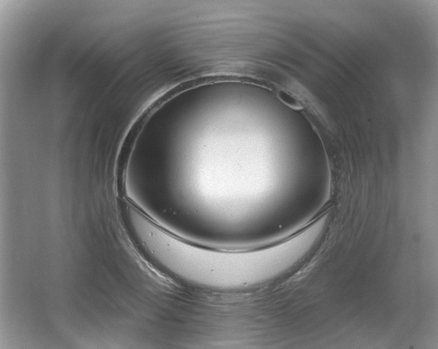 X0000065230884200602211142