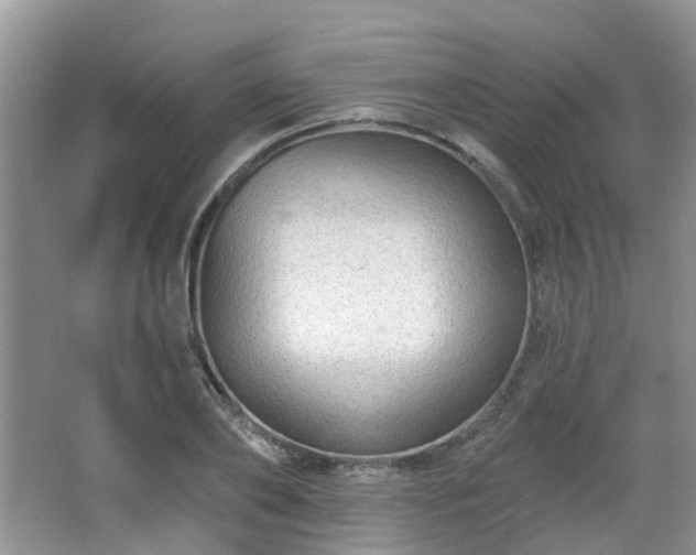 X0000065230886200602211142