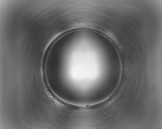 X0000065230888200602211142