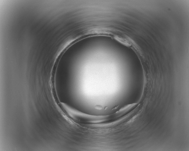 X0000065230893200602211142