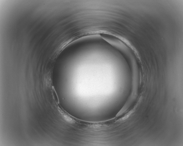 X0000065230897200602211142