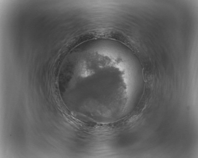 X0000065230913200602211141