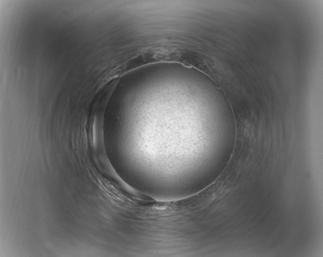 X0000065230914200602211141