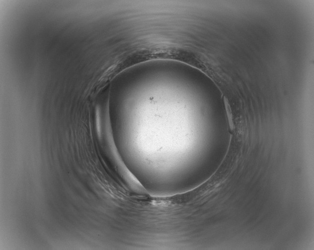 X0000065230916200602211141