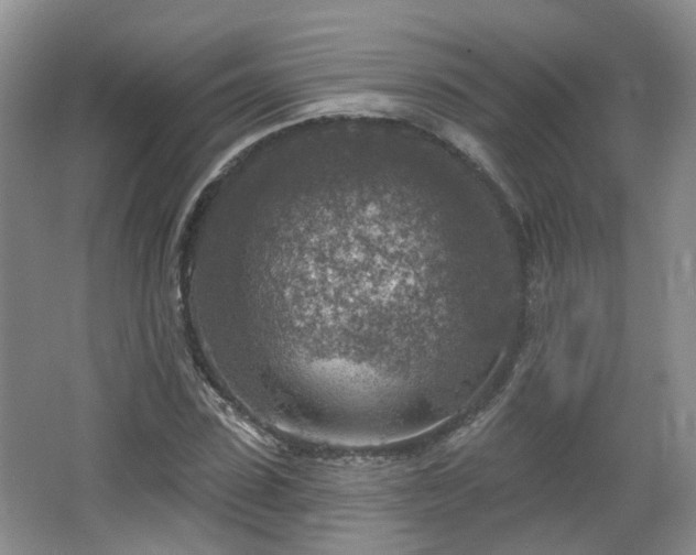 X0000065230923200602211141