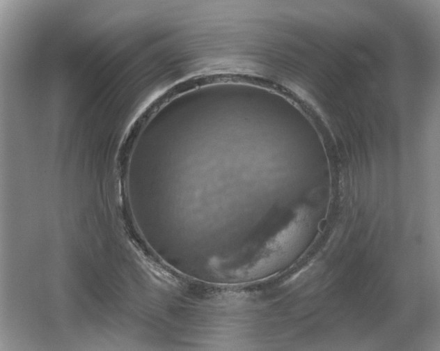 X0000065230925200602211141