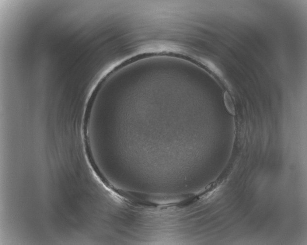 X0000065230943200602211141