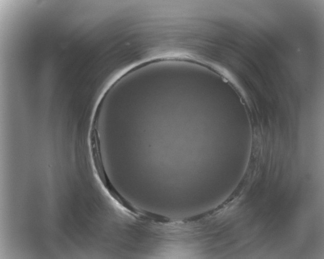 X0000065230959200602211141