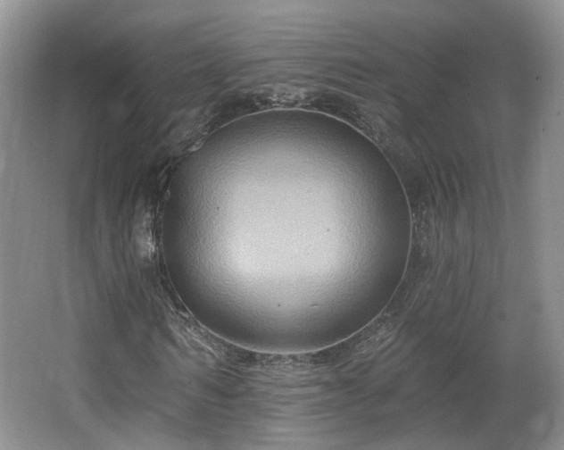 X0000065230962200602211141