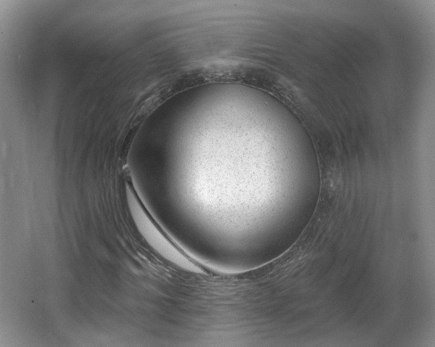 X0000065230964200602211141