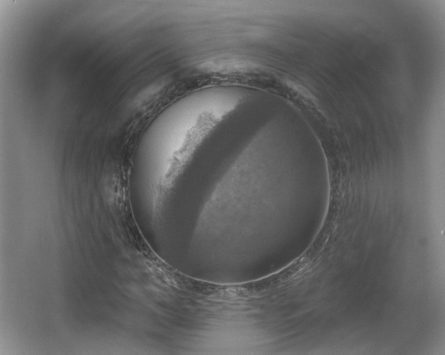 X0000065230966200602211140