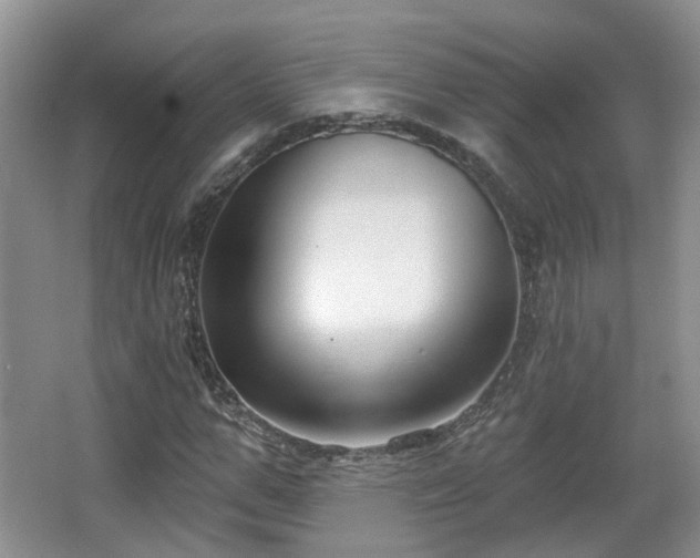 X0000065230967200602211140